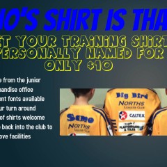 Customize your Training Shirts